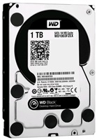 WD Caviar Black 1TB SATAIII WD1003FZEX / 600 64 megabytes cache